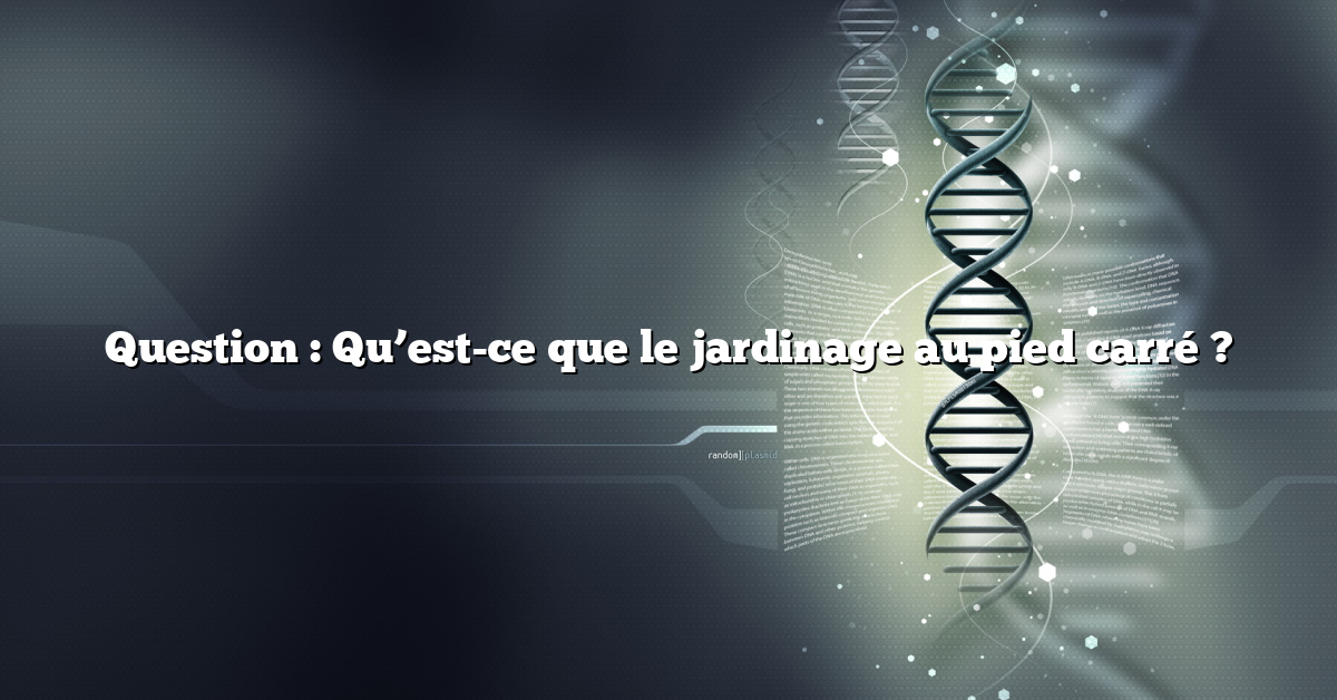 Question : Qu’est-ce que le jardinage au pied carré ?
